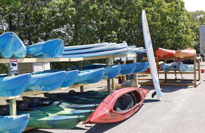 Paddle Cape Cod Cape Cod Card